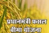    18,797 किसानों ने कराया फसलों का बीमा, 17.96 करोड़ रुपये का होगा कवरेज