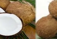   हेल्थ के लिए कौन-सा सबसे अच्छा है, सूखा या ताजा नारियल?