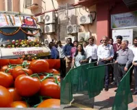   केंद्र ने दिल्ली-एनसीआर में 65 रुपये प्रति किलो के भाव पर टमाटर बेचना शुरू किया