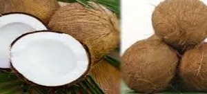   हेल्थ के लिए कौन-सा सबसे अच्छा है, सूखा या ताजा नारियल?